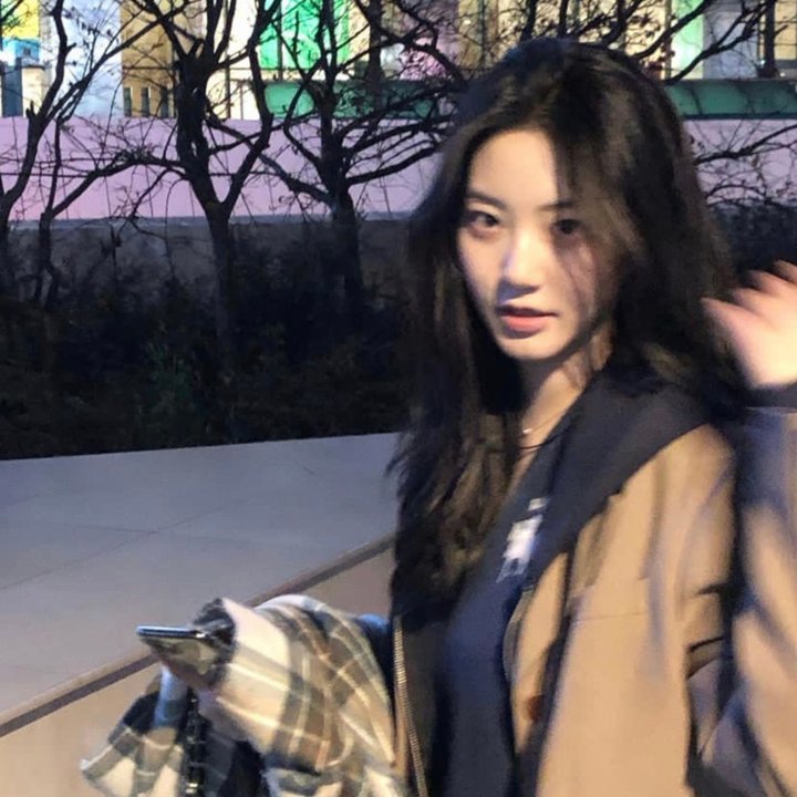 火红的杜鹃花